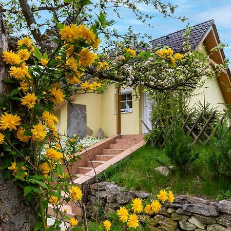 Apartmanovy Dum Vilémovice エクステリア 写真