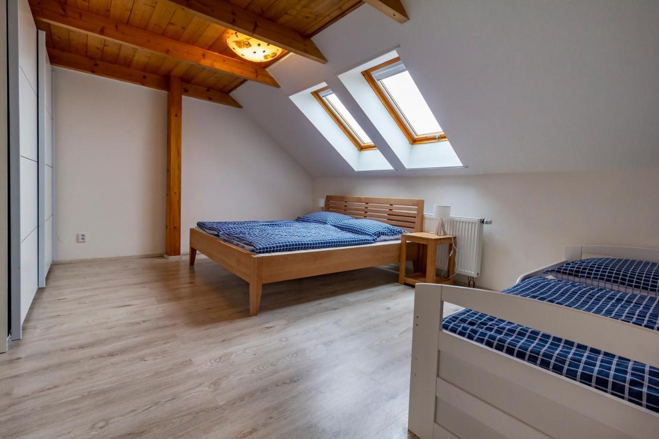 Apartmanovy Dum Vilémovice エクステリア 写真