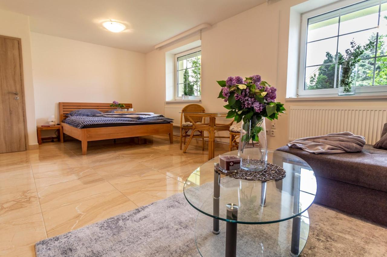 Apartmanovy Dum Vilémovice エクステリア 写真