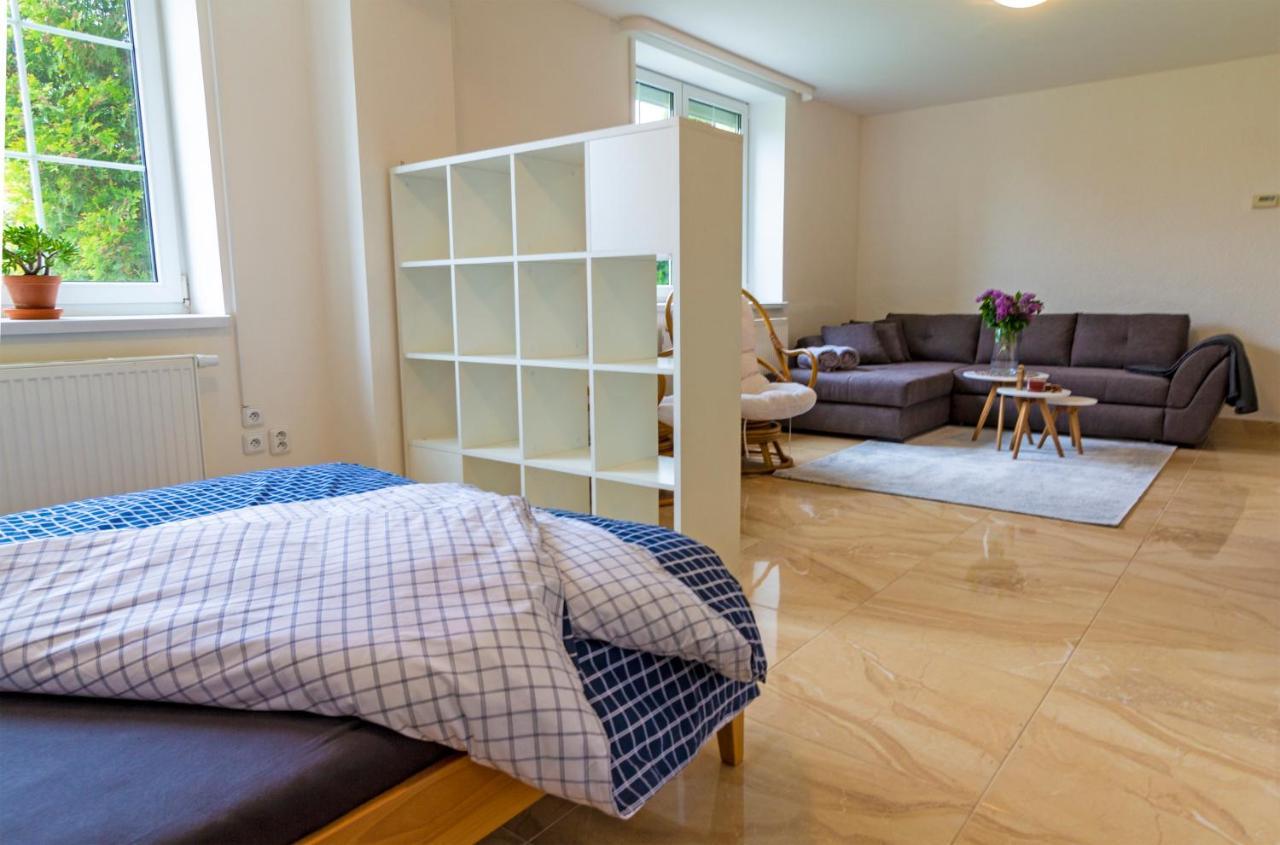 Apartmanovy Dum Vilémovice エクステリア 写真